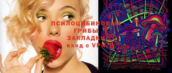 МДПВ Алзамай