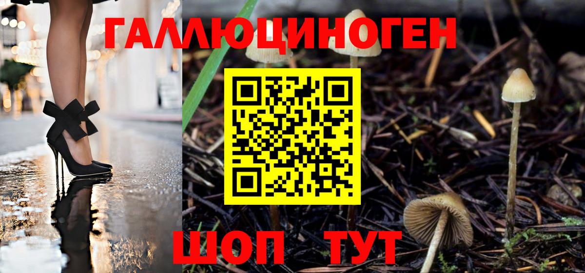 Чайковский  наркошоп  Вход с VPN  Псилоцибиновые грибы Magic Shrooms 