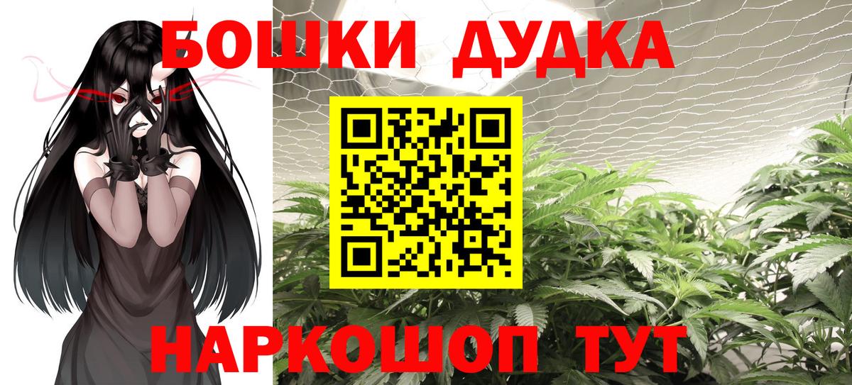 Бошки Шишки ГИДРОПОН  Вход с VPN  Чайковский  Конопля индика  Канабис семена 